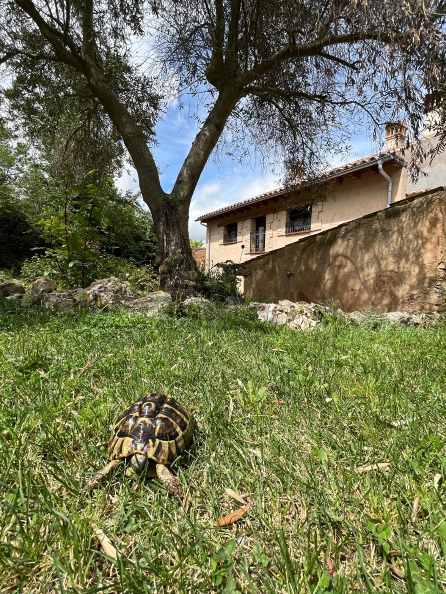 El Salegar Villa Roturas Екстериор снимка